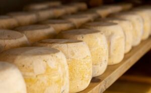 Acuerdo Mercosur-UE reaviva la disputa global por el mercado del queso