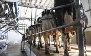 Acuerdo UE-Mercosur por qué inquieta al agro europeo