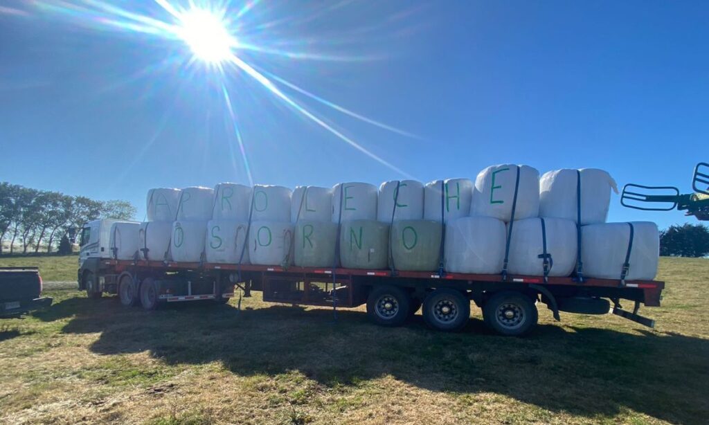 Aproleche Osorno se moviliza ante incendios forestales