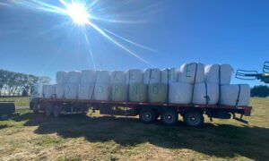 Aproleche Osorno se moviliza ante incendios forestales