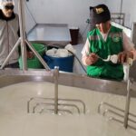 Arequipa moderniza plantas queseras y mejora rendimientos