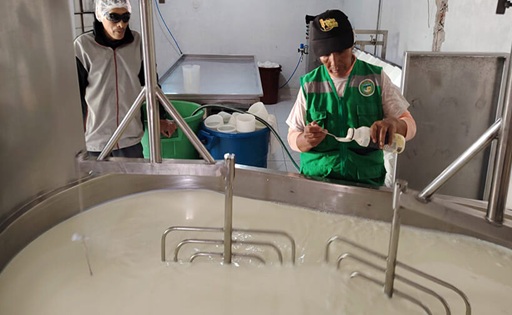 Arequipa moderniza plantas queseras y mejora rendimientos