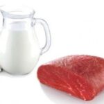 Balance cárnico y lácteo 2025: consumo y exportaciones en alza 2 Balance cárnico y lácteo 2025 consumo y exportaciones en alza