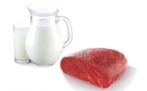 Balance cárnico y lácteo 2025 consumo y exportaciones en alza