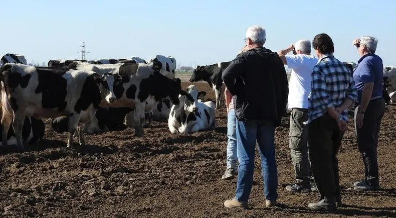 Buena señal repunta la leche en polvo y anima a la lechería argentina