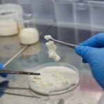 Chile desarrolla derivado lácteo sin caseína y lactosa para alérgicos