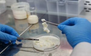 Chile desarrolla derivado lácteo sin caseína y lactosa para alérgicos