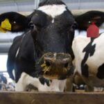 Chilelácteo 2026 refuerza apoyos y apuesta a la innovación 1 Chilelácteo 2026 refuerza apoyos y apuesta a la innovación