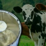 Colombia límites a la leche en polvo de EE.UU.