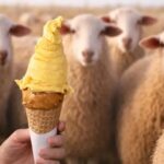 De la leche de oveja a heladerías premium caso de innovación familiar láctea