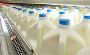 El exceso de oferta vuelve a presionar al mercado lácteo global