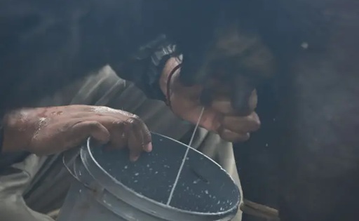 El ordeñe ancestral que da origen a un queso artesanal único en Tafí del Valle