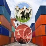 Exportaciones ganaderas rozan récord y empujan a los lácteos en 2025