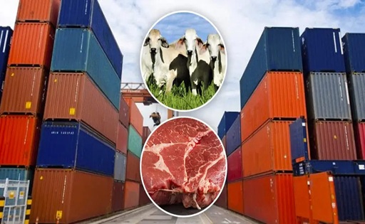 Exportaciones ganaderas rozan récord y empujan a los lácteos en 2025