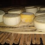 Isonza la “capital del queso de cabra” que resiste en los cerros salteños