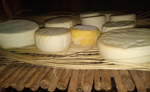 Isonza la “capital del queso de cabra” que resiste en los cerros salteños