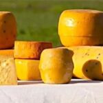 “La Ruta del Queso” se presenta como atracción cultural y productiva 1 La Ruta del Queso se presenta como atracción cultural y productiva