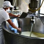 Lácteas santafesinas alertan por presión de precios y pérdida de rentabilidad