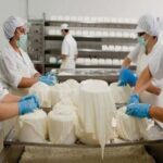 Más exportaciones, pero a precios más bajos alerta en la lechería para 2026