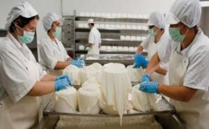 Más exportaciones, pero a precios más bajos alerta en la lechería para 2026