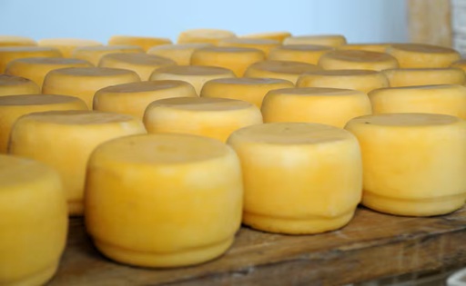 Por qué varios quesos deberán cambiar de nombre por el acuerdo Mercosur-UE