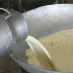 Precio de la leche sube en Córdoba y Sucre, pero los ganaderos no ganan más