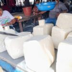 Precio del queso sube en La Guajira por menor producción de leche 1 Precio del queso sube en La Guajira por menor producción de leche