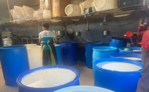 Producción de leche en 2025 alcanzó 370 millones de galones en Nicaragua