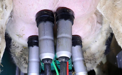 Producción de leche en Castilla y León se estanca segunda en España