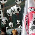 Productores uruguayos alertan que el acuerdo UE-Mercosur podría intensificar la competencia en lácteos