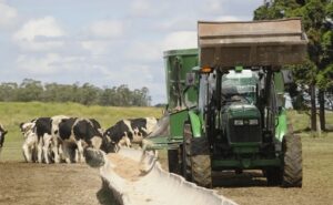Productores uruguayos esperan frenar la caída del precio de la leche