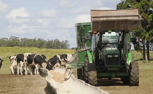Productores uruguayos esperan frenar la caída del precio de la leche
