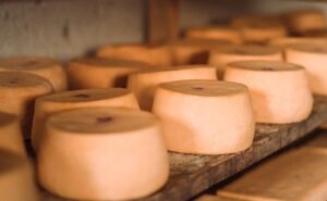 Queseros de Colonia advierten riesgos del acuerdo Mercosur–UE