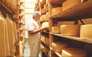 Quesos argentinos premiados en el mundo