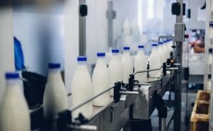 Rusia logra su mayor producción de leche en 30 años
