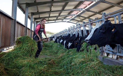 Sin rentabilidad sostenible, el relevo generacional en la lechería europea sigue estancado