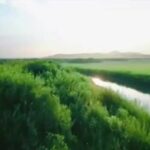 Super Milk la industria láctea global se muestra por dentro