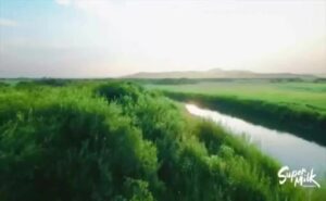 Super Milk la industria láctea global se muestra por dentro