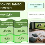 Tambos argentinos produjeron más pero facturaron menos en 2025 2 Tambos argentinos produjeron más pero facturaron menos en 2025