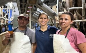 Una estafa golpea a la pyme del dulce premium