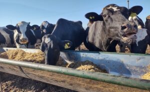 Una familia cordobesa que volvió a apostar por la leche