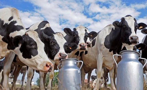 Uruguay Fratti se reúne con las gremiales lecheras