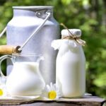 Volvió del exterior y creó un proyecto de leche de burra para chicos con alergias