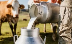 Boyacá presenta caracterización de organizaciones de productores de leche 2025