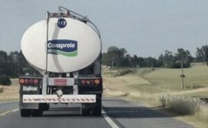 Conaprole arranca 2026 con fuerte dinamismo en remisión de leche