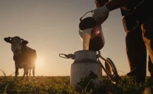 Dia del tambero edairynews