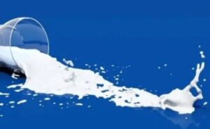 El sector lácteo uruguayo creció sólido en 2025 con exportaciones al alza