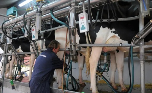Endeudamiento uruguayo en producción de leche cae a su nivel más bajo en dos años