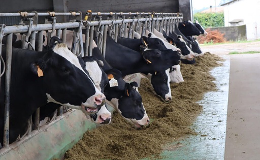 Industria láctea advierte por pérdida de poder adquisitivo y tensiona debate por precios