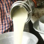 Ingresos record remision de leche de tamberos en Uruguay supero US 921 M en 2025